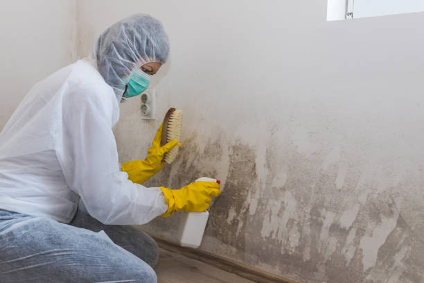 Best Commercial Mold Removal  in March Ar, CA