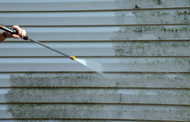 Best Mold Removal Process  in March Ar, CA