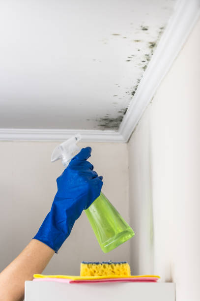 Best Water Damage Restoration  in March Ar, CA
