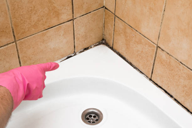 Best Fast Mold Removal  in March Ar, CA